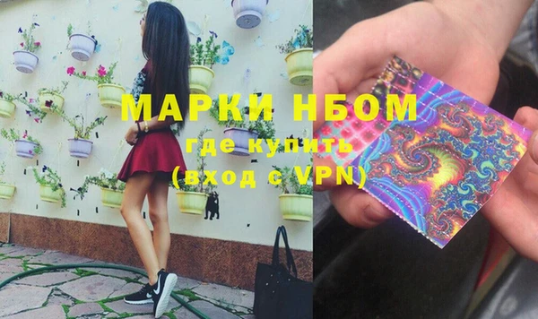 гашик Балахна