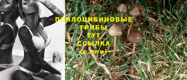 гашик Балахна